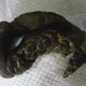 A masked girl in a yellow top teases and farts, then bends over and pushes out a long, thick coil. Product reveal at the end shows off her big coiled turd. Presented in 720P HD. 117MB, MP4 file. Over 9 minutes.